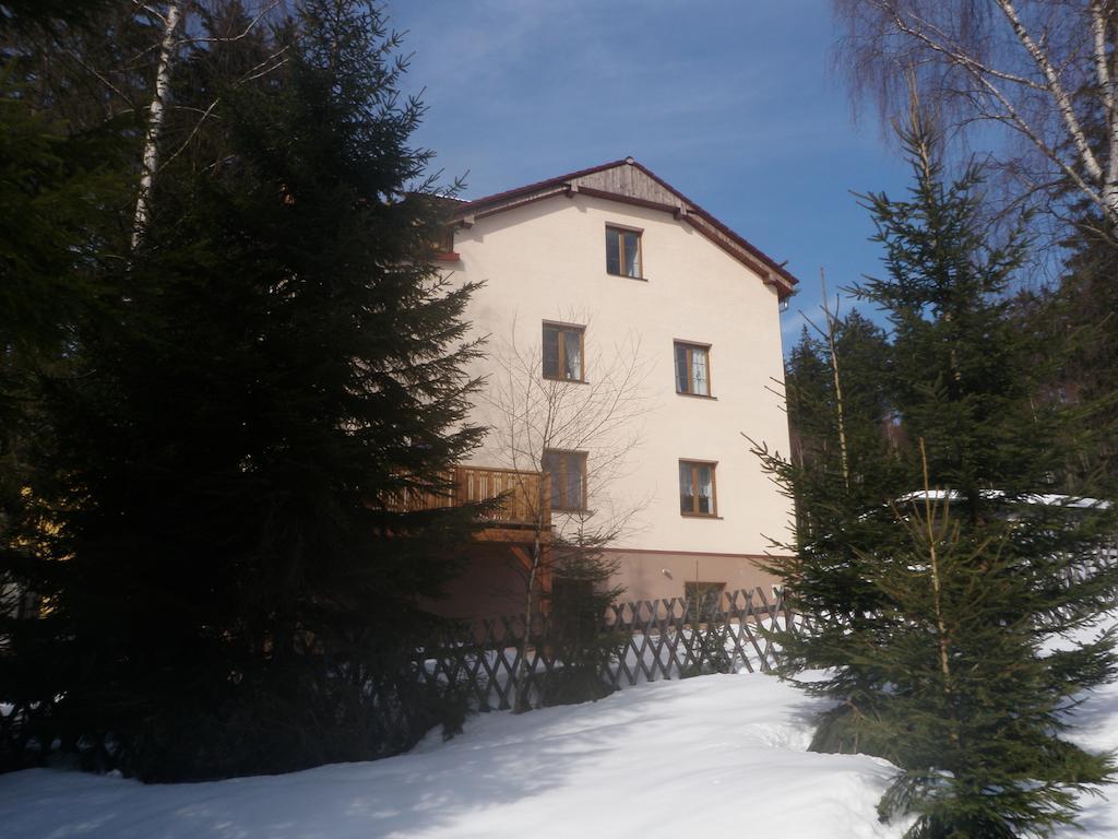Apartment Domino Zelezna Ruda